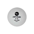 Pelotas Tenis de Mesa Miyagi 2 Estrellas
