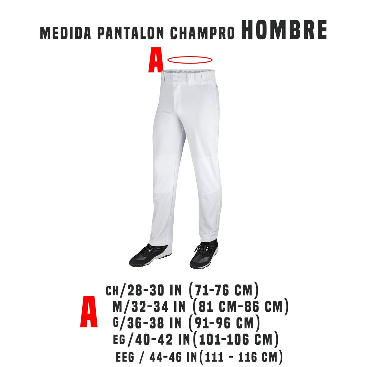 Pantalon Beisbol Softbol Champro MVP BP42 Blanco Corto Adulto